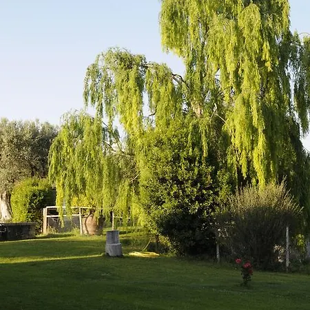 Campospillo Magliano in Toscana