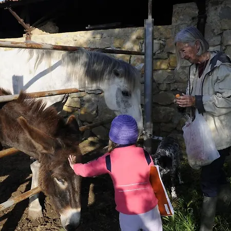 Alloggio per agriturismo Campospillo *